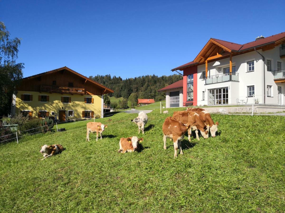 Fitzlhof Apartment Sankt Koloman Exterior photo